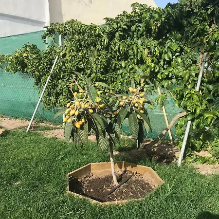 Casa Los Molinos Апартаменты *